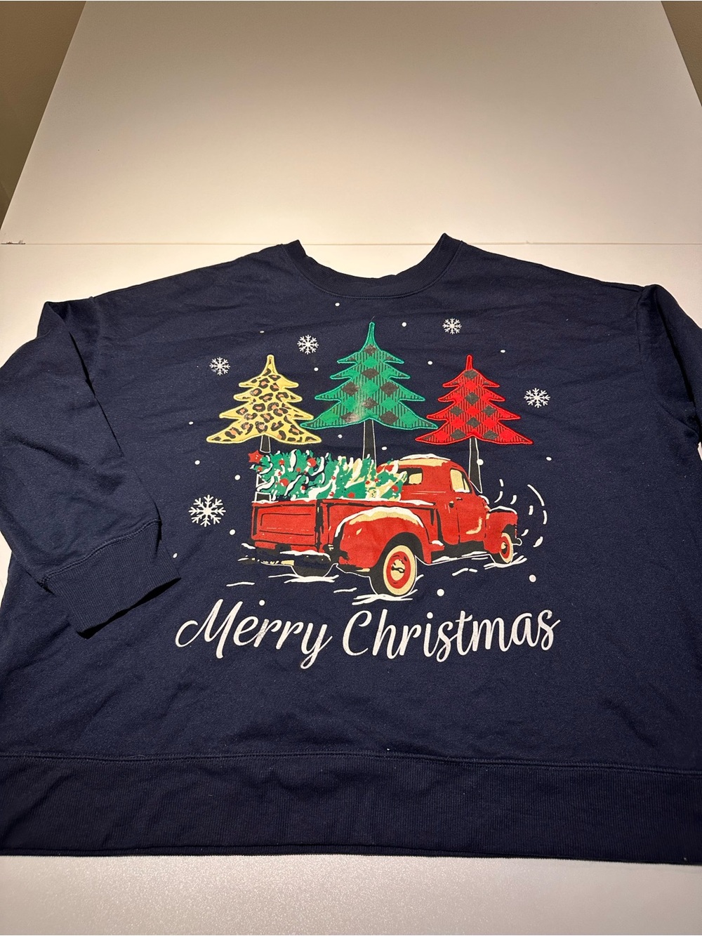 Terra & Sky Navy Crewneck Sweatshirt